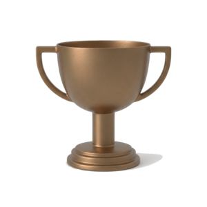 Cupa Judetului